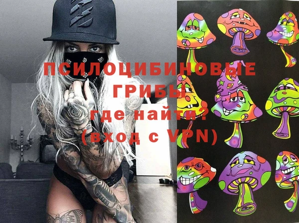 метамфетамин Алексеевка